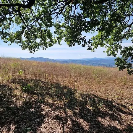 Lovely One-bedroom Attic In An Ancient Village Daire *